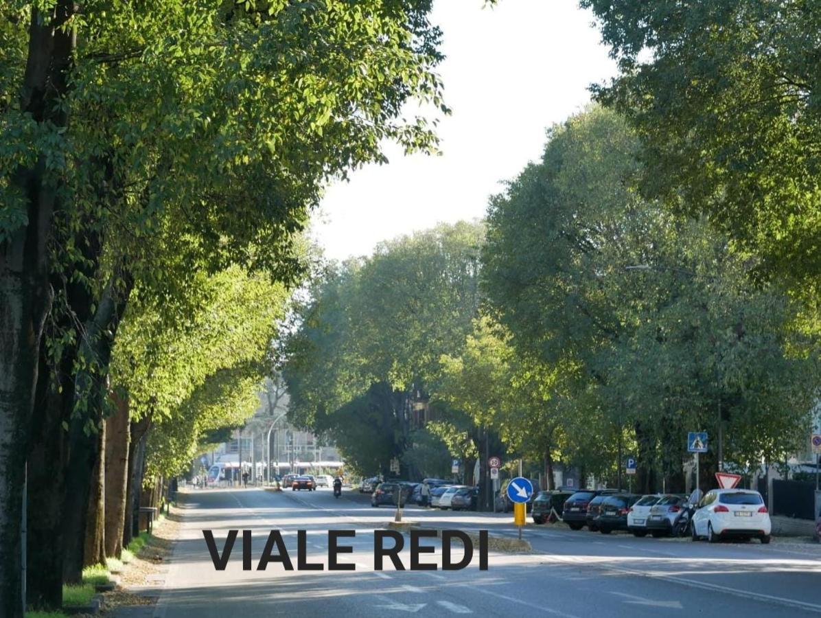 You Redi فلورنس المظهر الخارجي الصورة